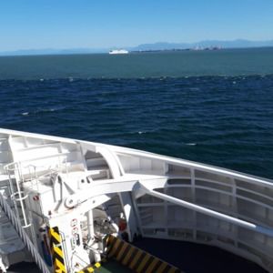 Meet your Posher, Billy